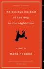 curious-incident