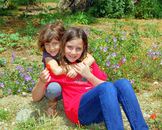 gelman-girls