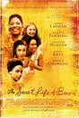 secret-life-of-bees-movie