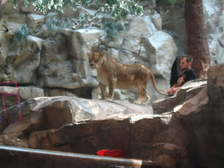 Las-Vegas-003