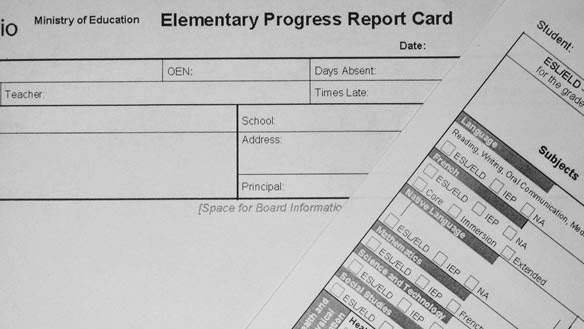 Progressreport