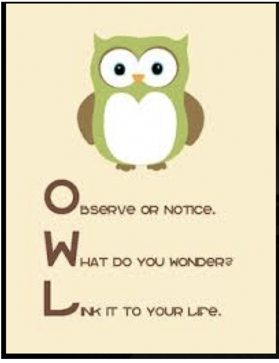 OWL poster pdf